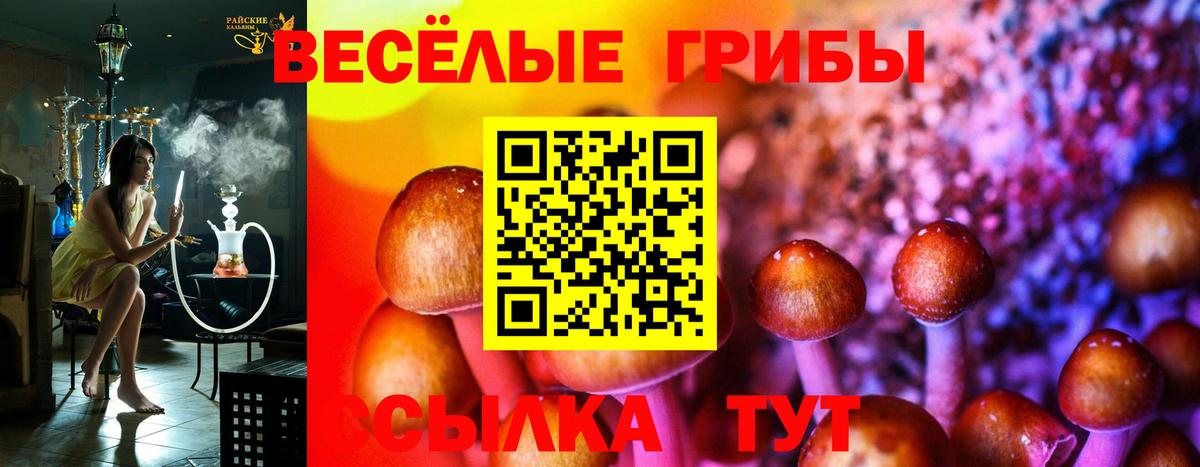 Галлюциногенные грибы мицелий Междуреченск