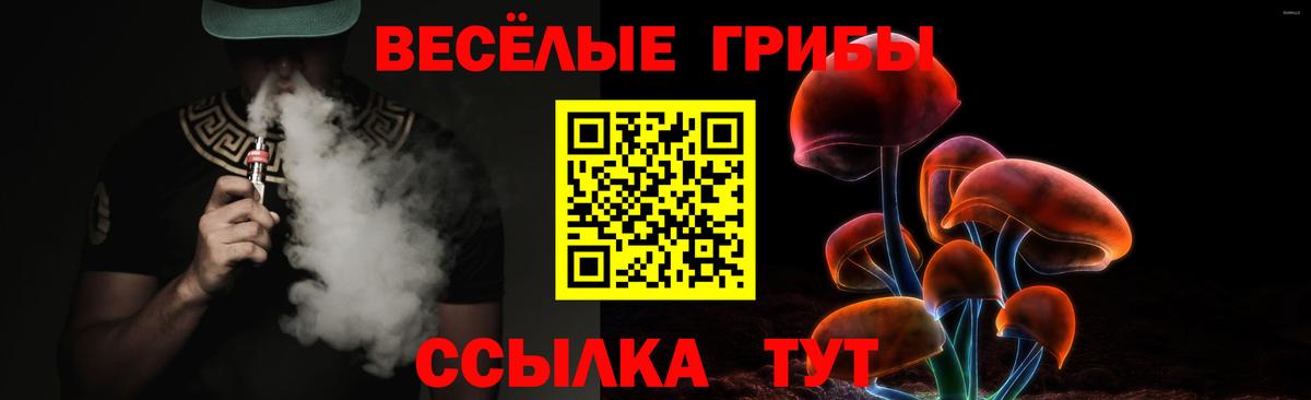 Галлюциногенные грибы Magic Shrooms  Вход с VPN  Междуреченск 