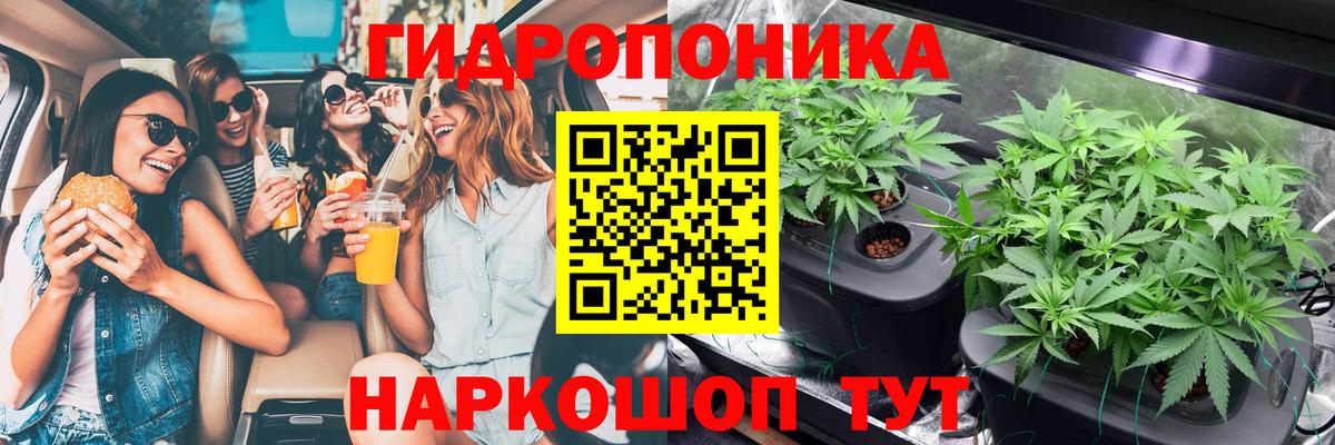 МАРИХУАНА гибрид  МАРИХУАНА план  Междуреченск  Вход с VPN  Канабис ГИДРОПОН 